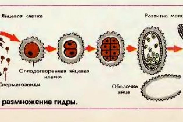 Kraken зеркало kr2web in